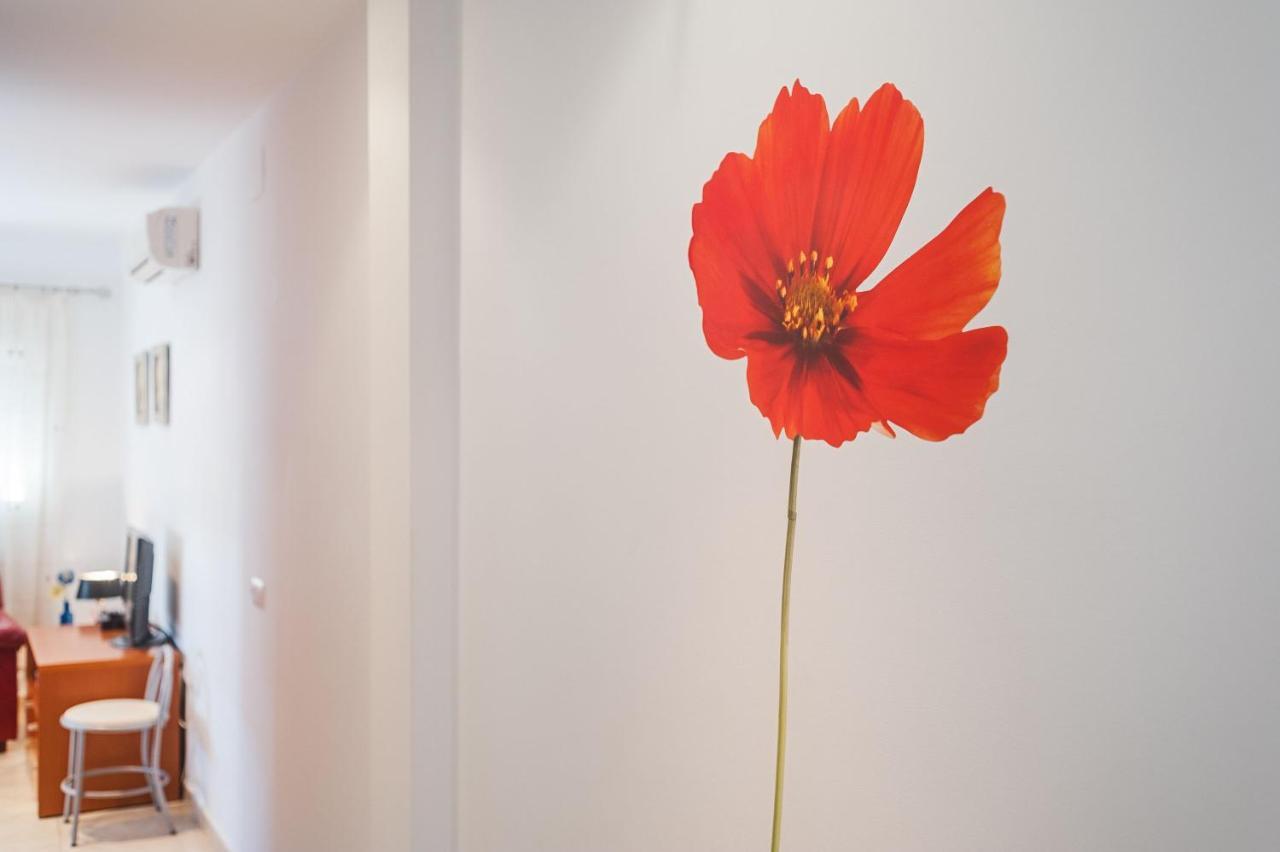 Apartamento Piso Sebastián 2 alto Solo Familias Conil De La Frontera Exterior foto